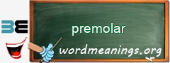 WordMeaning blackboard for premolar